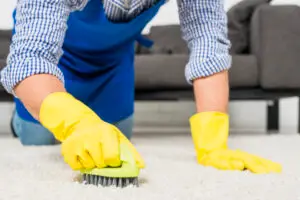 Professional carpet cleaning services to remove allergens and odors in Georgia, US.