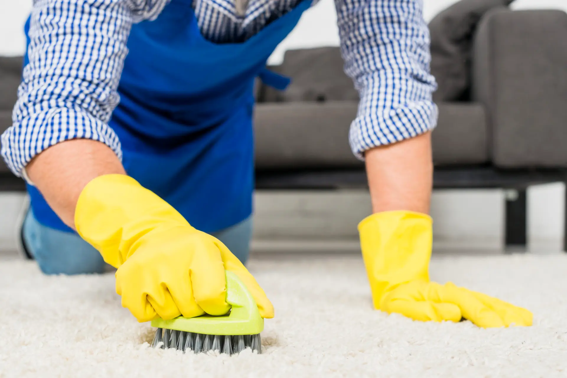 Professional carpet cleaning services to remove allergens and odors in Georgia, US.